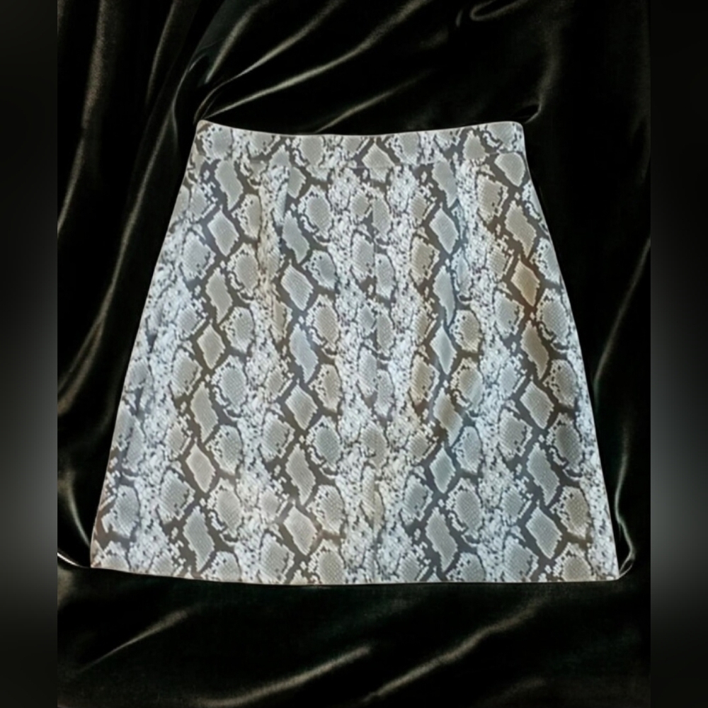 🔥🔥🔥 Faux Leather A-line Mini Skirt